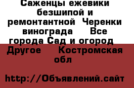 Саженцы ежевики безшипой и ремонтантной. Черенки винограда . - Все города Сад и огород » Другое   . Костромская обл.